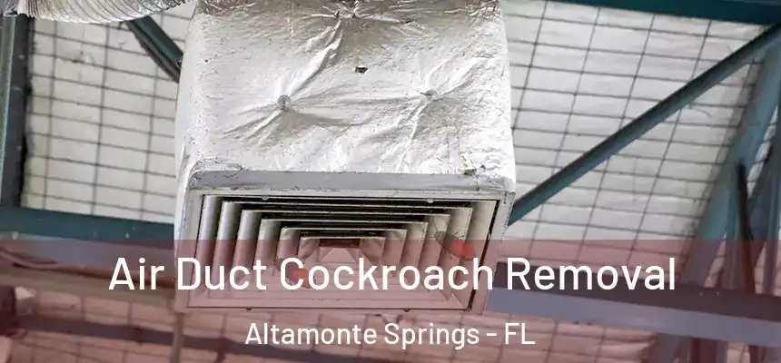 Air Duct Cockroach Removal Altamonte Springs - FL