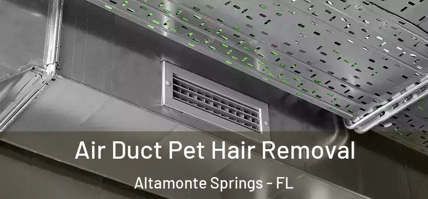 Air Duct Pet Hair Removal Altamonte Springs - FL