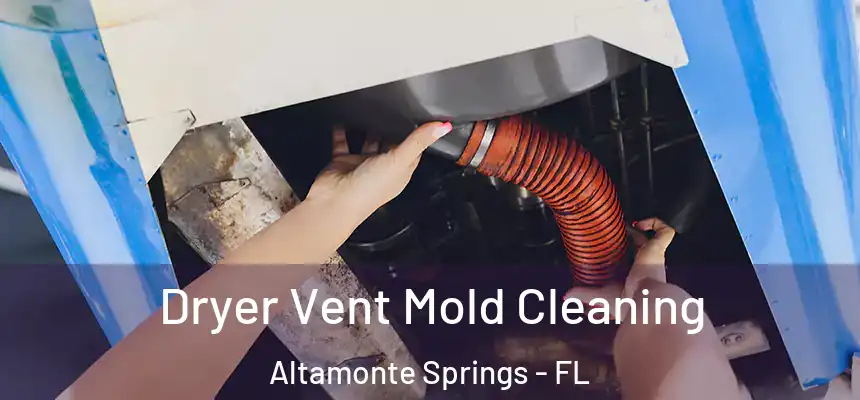 Dryer Vent Mold Cleaning Altamonte Springs - FL