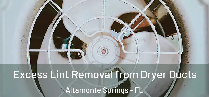 Excess Lint Removal from Dryer Ducts Altamonte Springs - FL