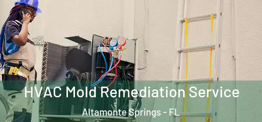 HVAC Mold Remediation Service Altamonte Springs - FL