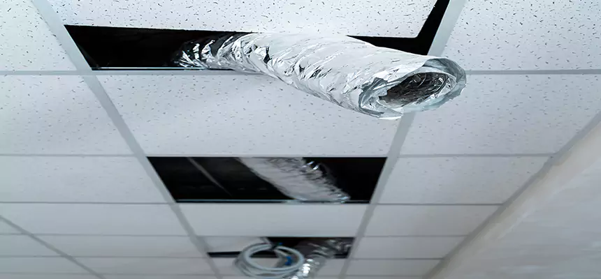 Our Air Duct Pet Hair Removal Services in Altamonte Springs, FL