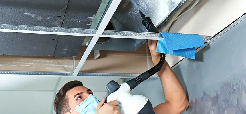 Our Air Duct Rodent Removal Services in Altamonte Springs, FL