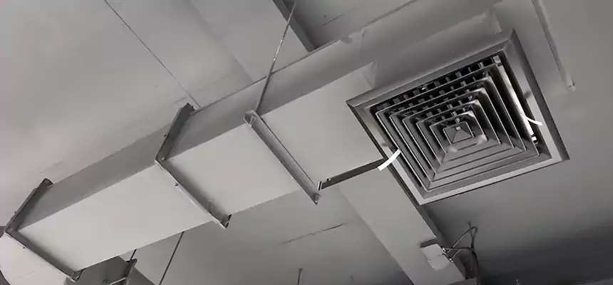 Our Pest Removal From Ducts Services in Altamonte Springs, FL