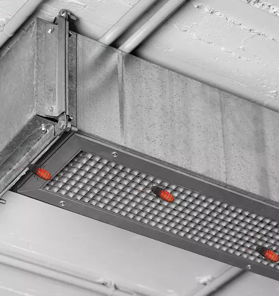About Air Duct Cockroach Removal in Altamonte Springs, FL