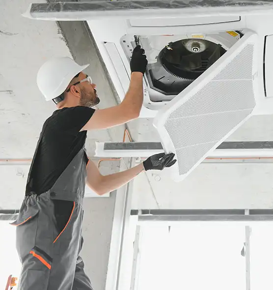 About Air Duct Rodent Removal in Altamonte Springs, FL