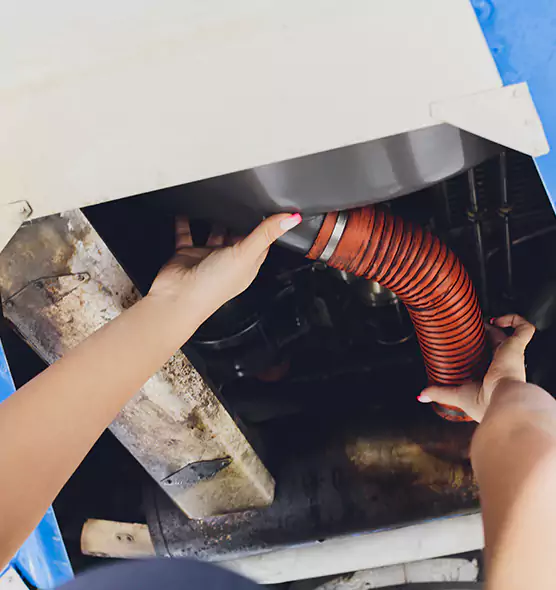 About Air Duct Virus Disinfection in Altamonte Springs, FL