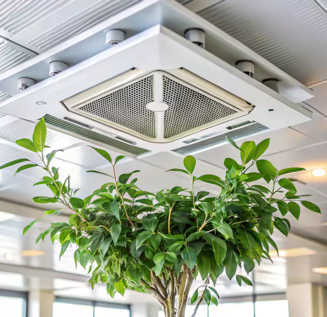 Why Homeowners & Businesses Trust Us in Altamonte Springs, FL?